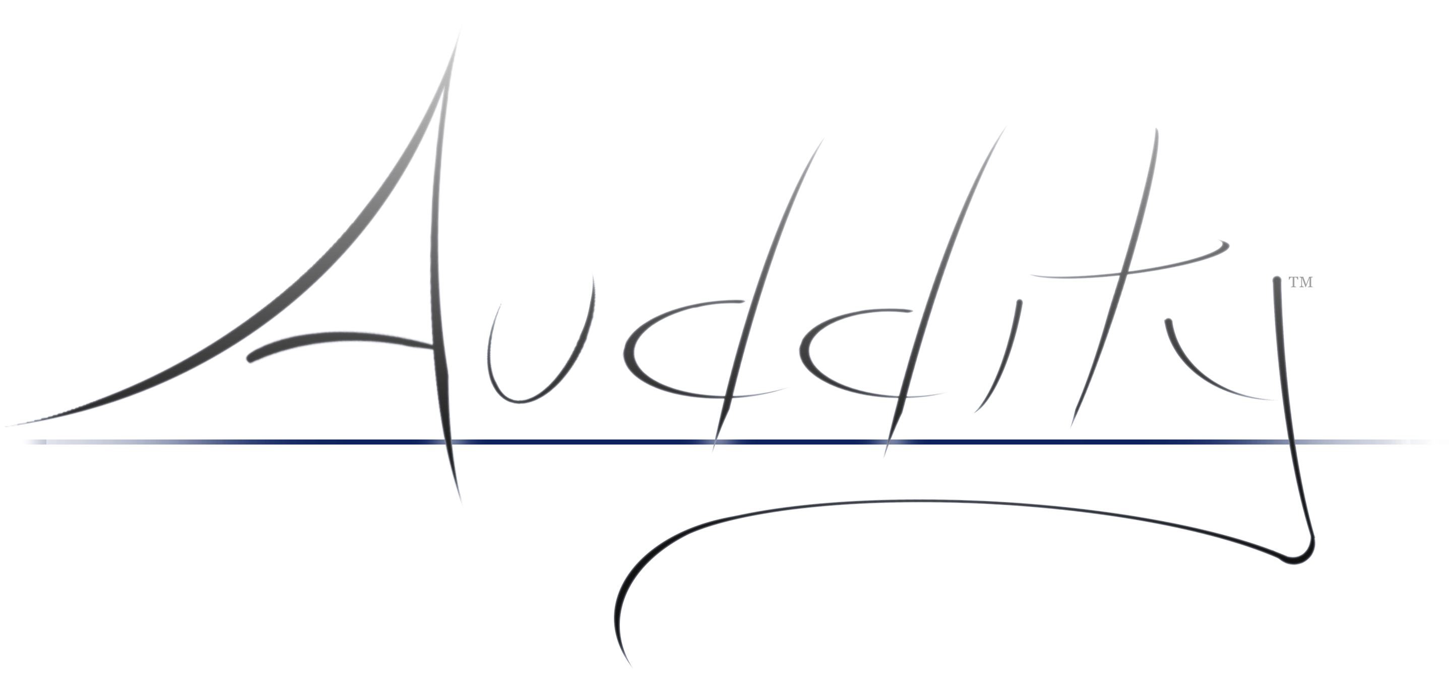 Auddity Logo
